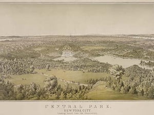 Central Park - Art Print