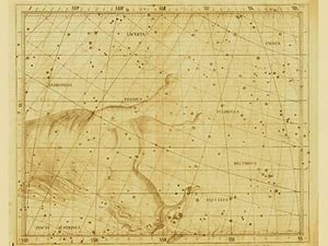 Pegasus by Sir John Flamsteed - Art Print