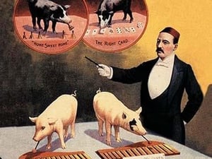 Tatum and Bristol's Troupe of Trained Pigs - Art Print