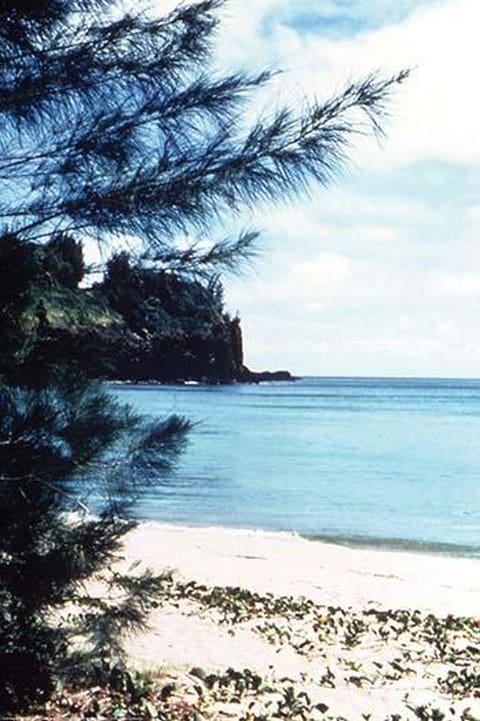 Kalihiwai Bay by James P. McVey - Art Print