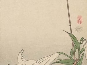 Small bird on lily plant. by Baison - Art Print