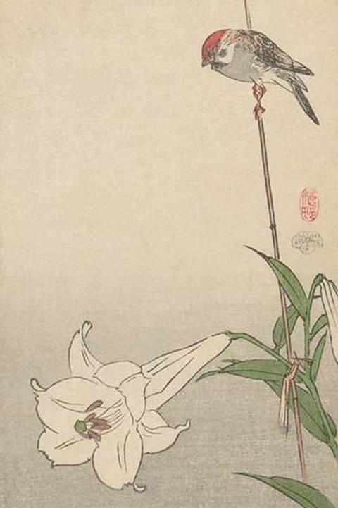 Small bird on lily plant. by Baison - Art Print