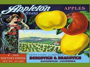 Appleton Brand Apples - Art Print