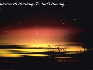 Patience is Trusting in God's Timing by Sara Pierce - Art Print