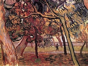 Study of Pine Trees by Vincent van Gogh - Art Print
