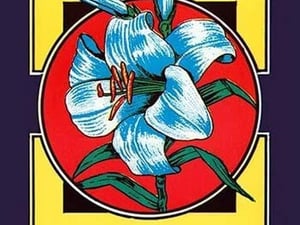 Lily Flower Broom Label - Art Print
