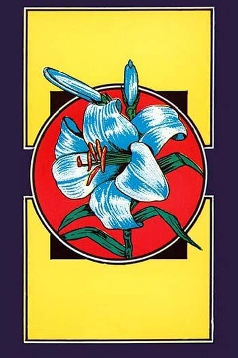 Lily Flower Broom Label - Art Print