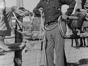 Cowboy at Rodeo by Russell Lee - Art Print