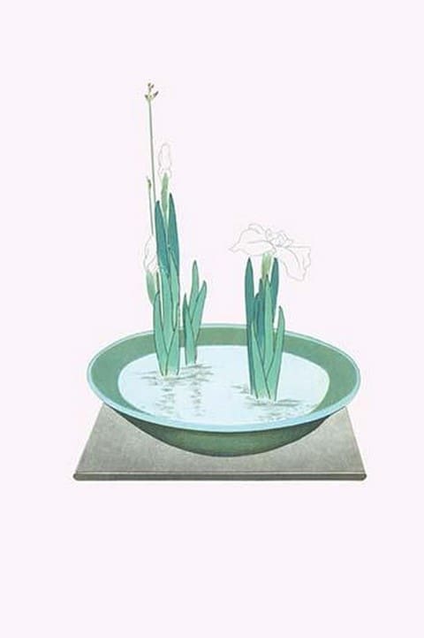 Futoi & Hanashobu (Scirpus & Iris) in a Tenryuji-celadon basin by Josiah Conder #2 - Art Print
