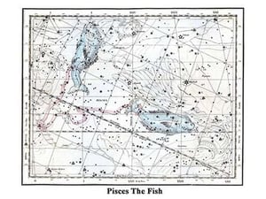 Pisces the Fish by Alexander Jamieson - Art Print