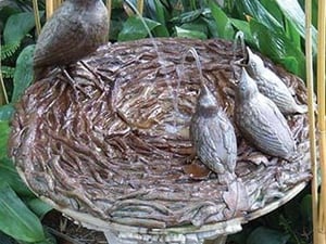 Bird Bath by Jason Pierce - Art Print