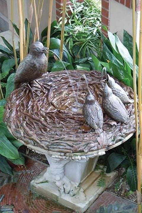 Bird Bath by Jason Pierce - Art Print