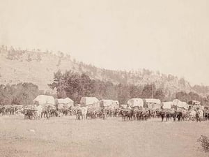 Freighting in the Black Hills by John C.H. Grabill #2 - Art Print