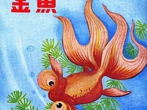 Fancy Bubble Eye Goldfish - Art Print