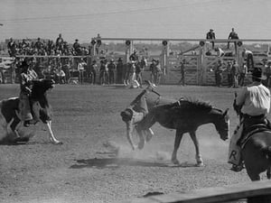 Bucked off a Bronco by Russell Lee - Art Print