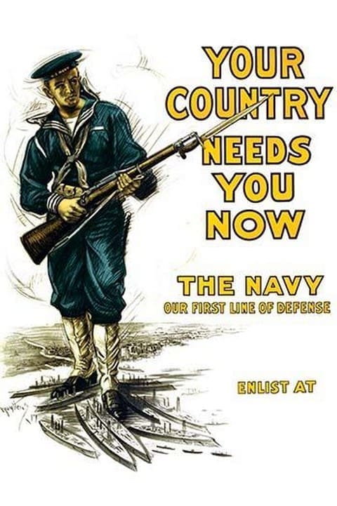 Your country needs you now - The Navy