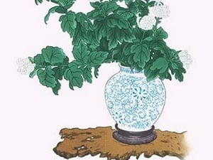 Shiragiku (White Chrysanthemum) in a Blue and White Tsubo by Josiah Conder #2 - Art Print