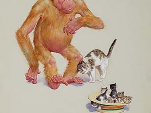 Kittens in a Hat by Lawson Wood - Art Print