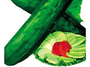 Cucumber: Burpee Hybrid - Art Print