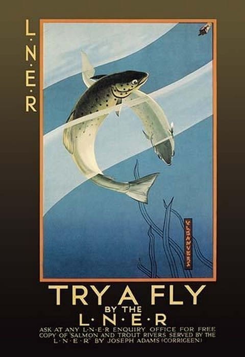 Try a Fly by V.L. Danvers - Art Print