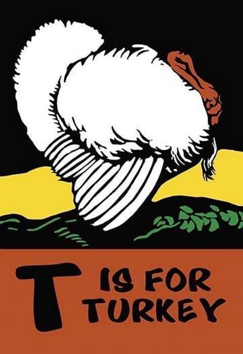T is for Turkey by Charles Buckles Falls - Art Print