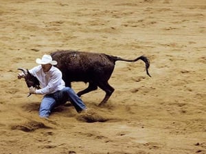 Bringing down the Bull by Carol Highsmith - Art Print