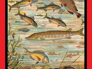 Fish Pond - Art Print