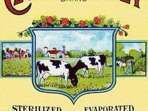 Clover Valley Brand Sterilized Evaporated Milk #2 - Art Print
