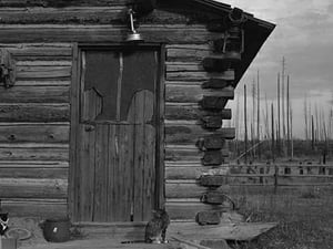 Clearing the Forest by Dorothea Lange #3 - Art Print