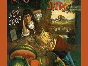 Crosman Brothers Seeds: New Crop - Art Print