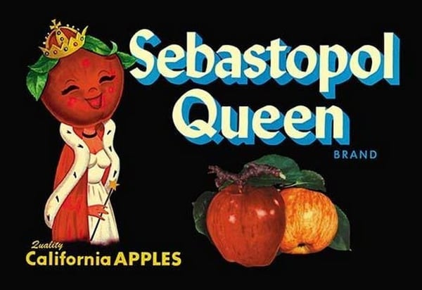 Sebastopol Queen Brand Apples - Art Print