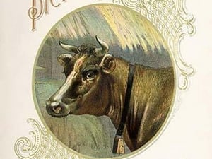The Ideal Picture Book of Animals - Art Print