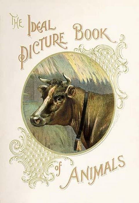 The Ideal Picture Book of Animals - Art Print