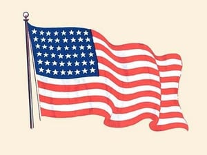 The American Flag - Art Print