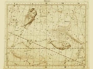 Pisces by Sir John Flamsteed - Art Print