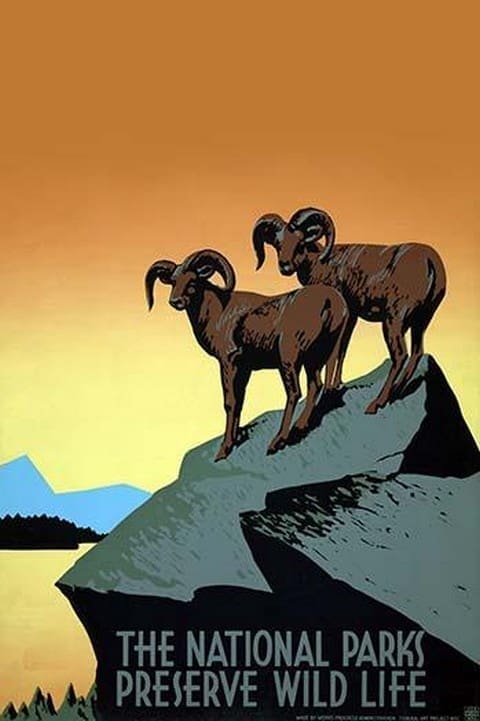 The National parks preserve wild life by J. Hirt - Art Print