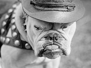 An Ex-Marine by Wilbur Pierce - Art Print