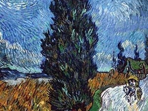 Country road in Provence by Night by Vincent van Gogh - Art Print