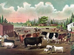 Stolzfus Brothers Consolidated Butchers by Compton Litho Co. - Art Print