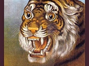 Zoologisk Have Saisonen Aabnet by Anonymous - Art Print