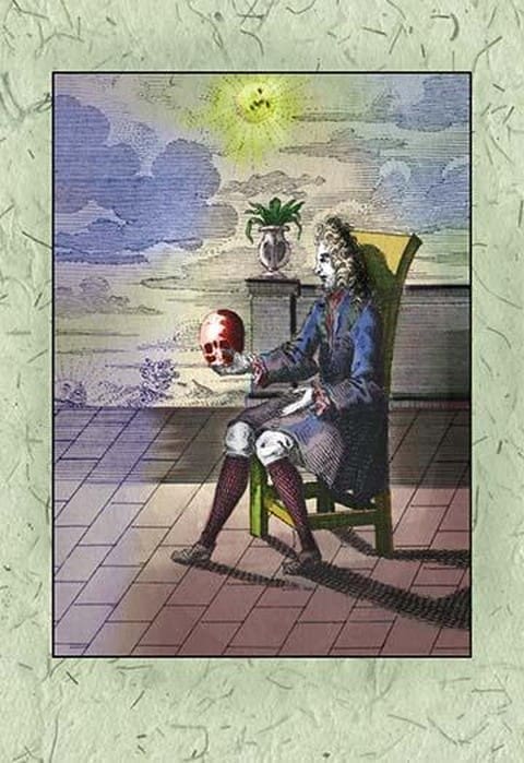 Sunlit Skull - Art Print