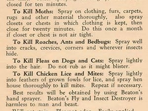 Directions for Beaton's Fly and Insect Destroyer - Art Print