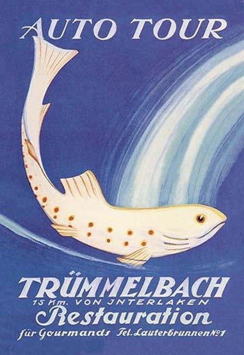 Auto Tour Trummelbach by Anton Trieb - Art Print