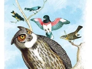The Great Horned Owl by Theodore Jasper - Art Print