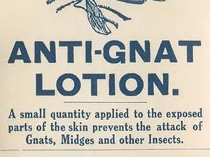 Anti-Gnat Lotion - Art Print