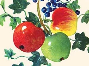 Three Apples - Art Print