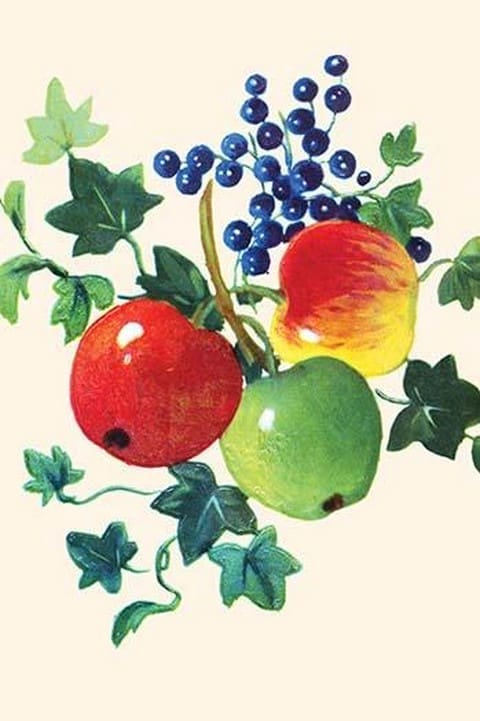 Three Apples - Art Print