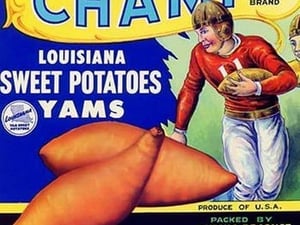 Champ Louisiana Sweet Potatoes - Art Print