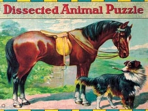 Dissected Animal Puzzle - Art Print