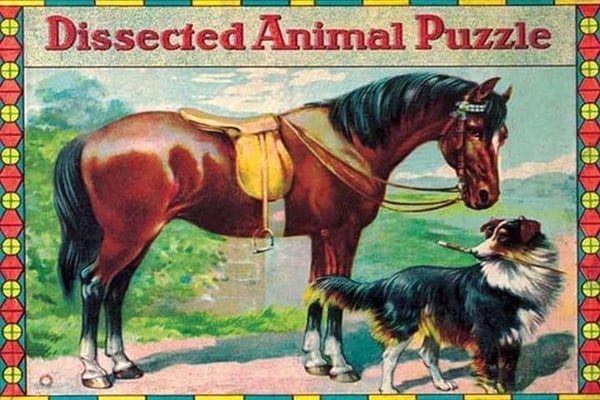 Dissected Animal Puzzle - Art Print